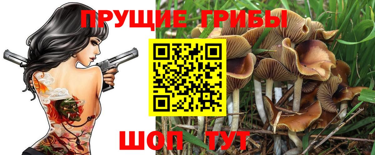 Аксай  Псилоцибиновые грибы прущие грибы  Вход с VPN  Галлюциногенные грибы прущие грибы 