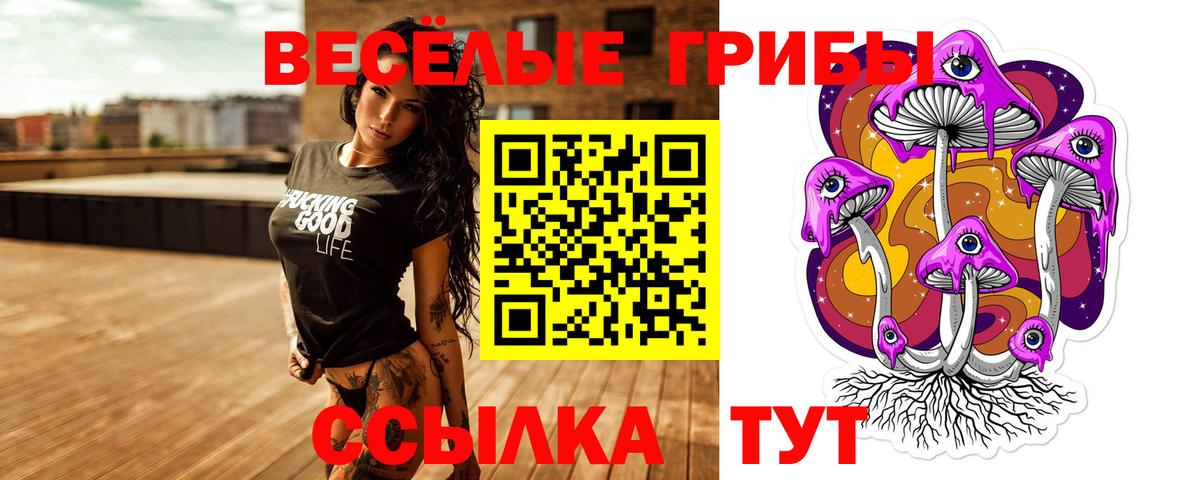 Псилоцибиновые грибы Psilocybe Аксай